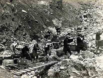 ���a�R�N�̔��R�r�V���J�ł̍��h�H���̗l�q