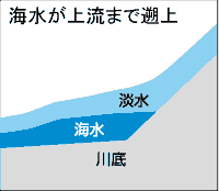 C㗬܂ők