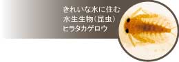 ꂢȐɏZސ()q^JQE