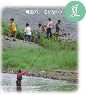 夏…川遊びに、さかなつり