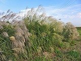 XXLQ 8.6km݁@2013.10.03