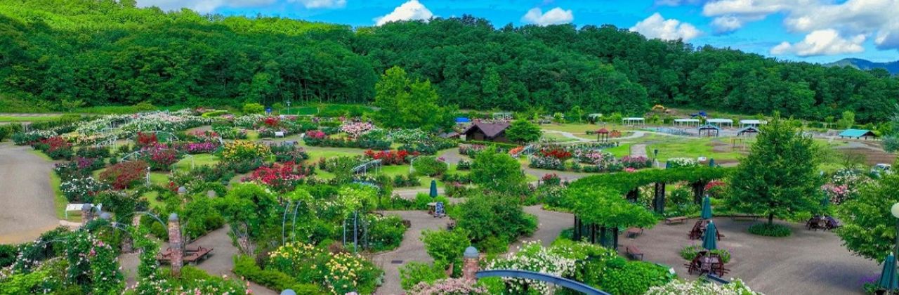 国営越後丘陵公園