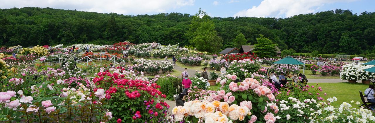 国営越後丘陵公園