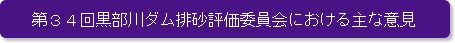 第34回黒部川ダム排砂評価委員会における主な意見
