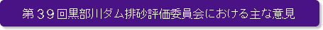 第39回黒部川ダム排砂評価委員会における主な意見