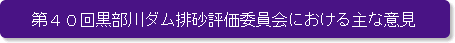 第40回黒部川ダム排砂評価委員会における主な意見