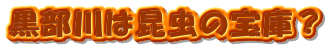 ͍̕ɁH

