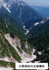 【好評にて期間延長】 1987年 黒部川流域の自然と土砂流出 黒部川の濁流現象に関する 環境