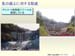 page_49