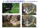 page_64