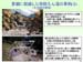 page_70