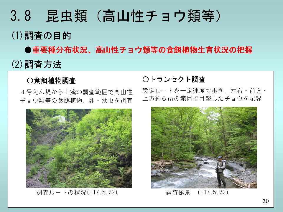 page_21