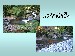 page_06
