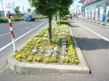 日産プリンス新潟販売(株)三条店