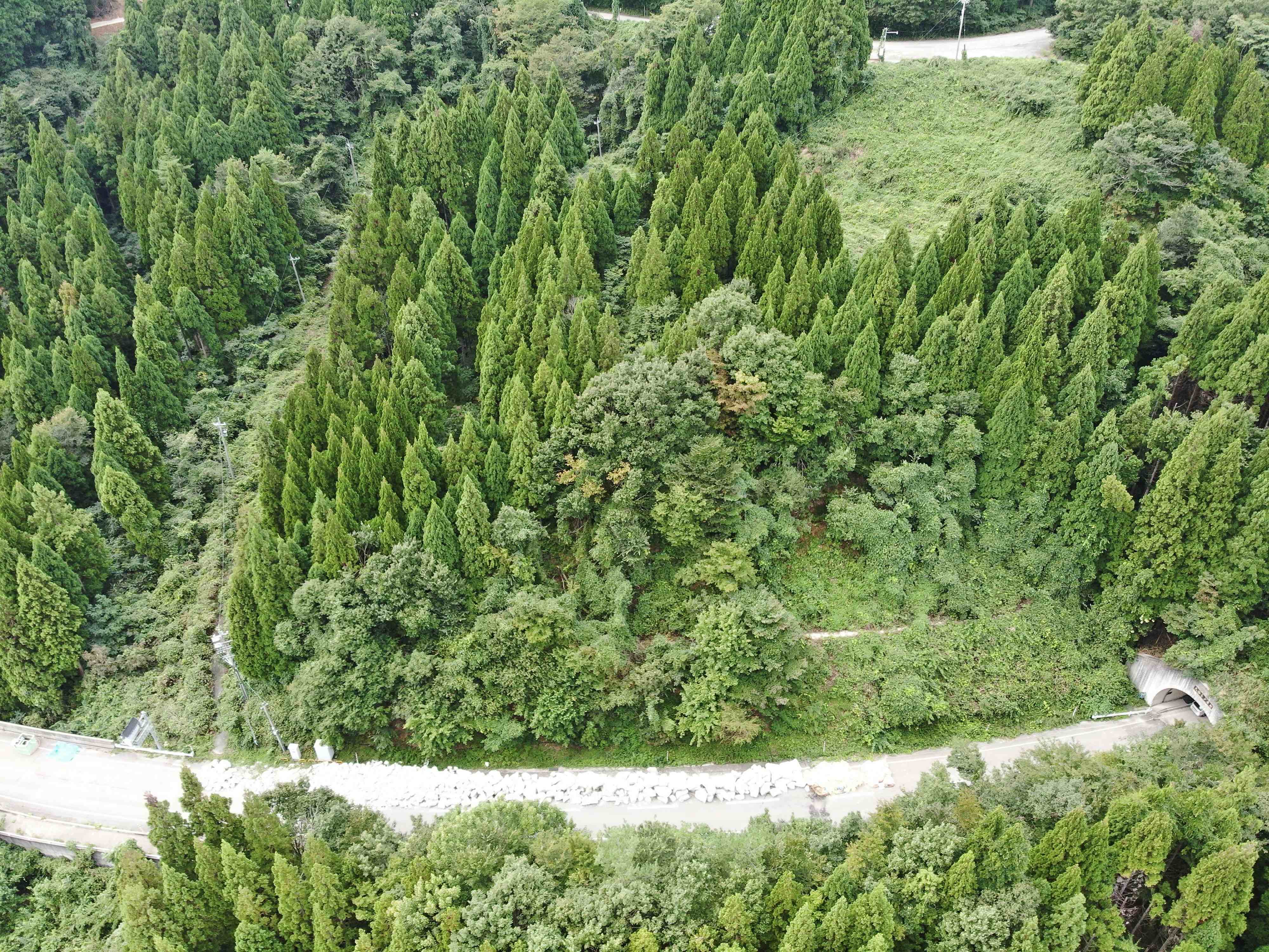 大谷トンネル工区写真3