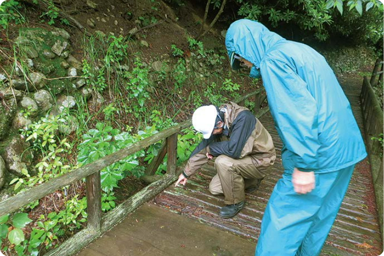 巡視路の点検