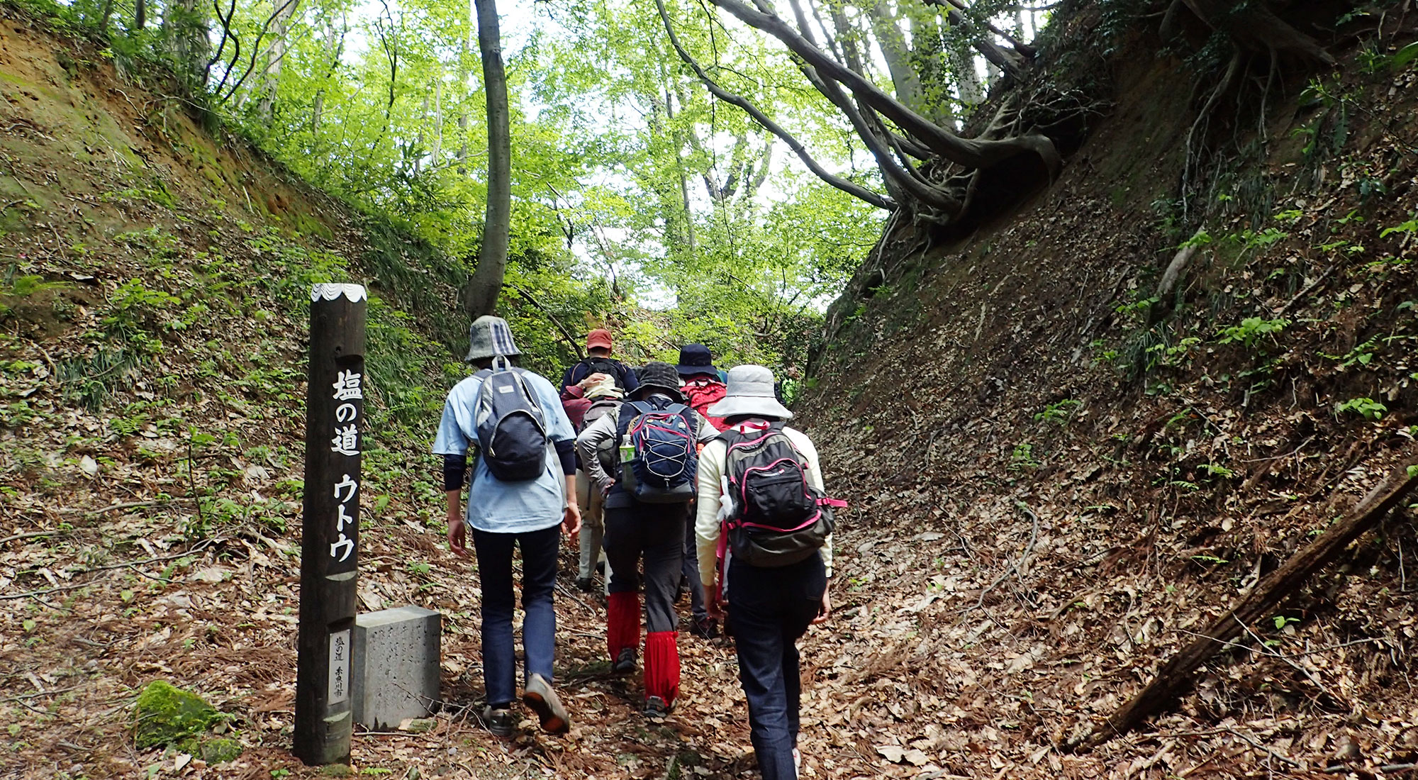 北アルプス大展望・最長最古の塩の道ルート