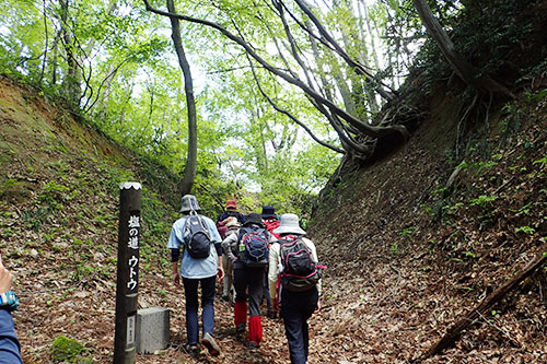 塩の道「ウトウ」