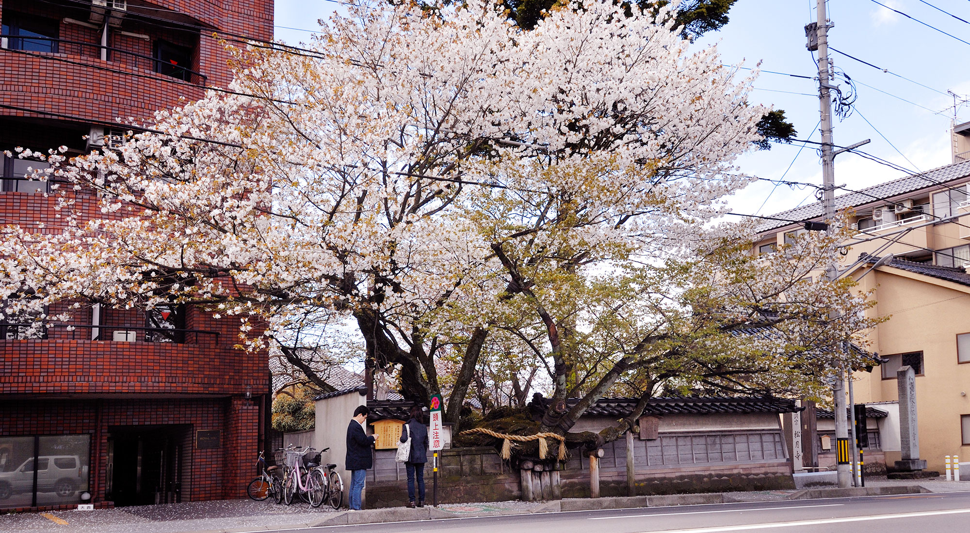 金沢城下 野町・弥生誘い街道