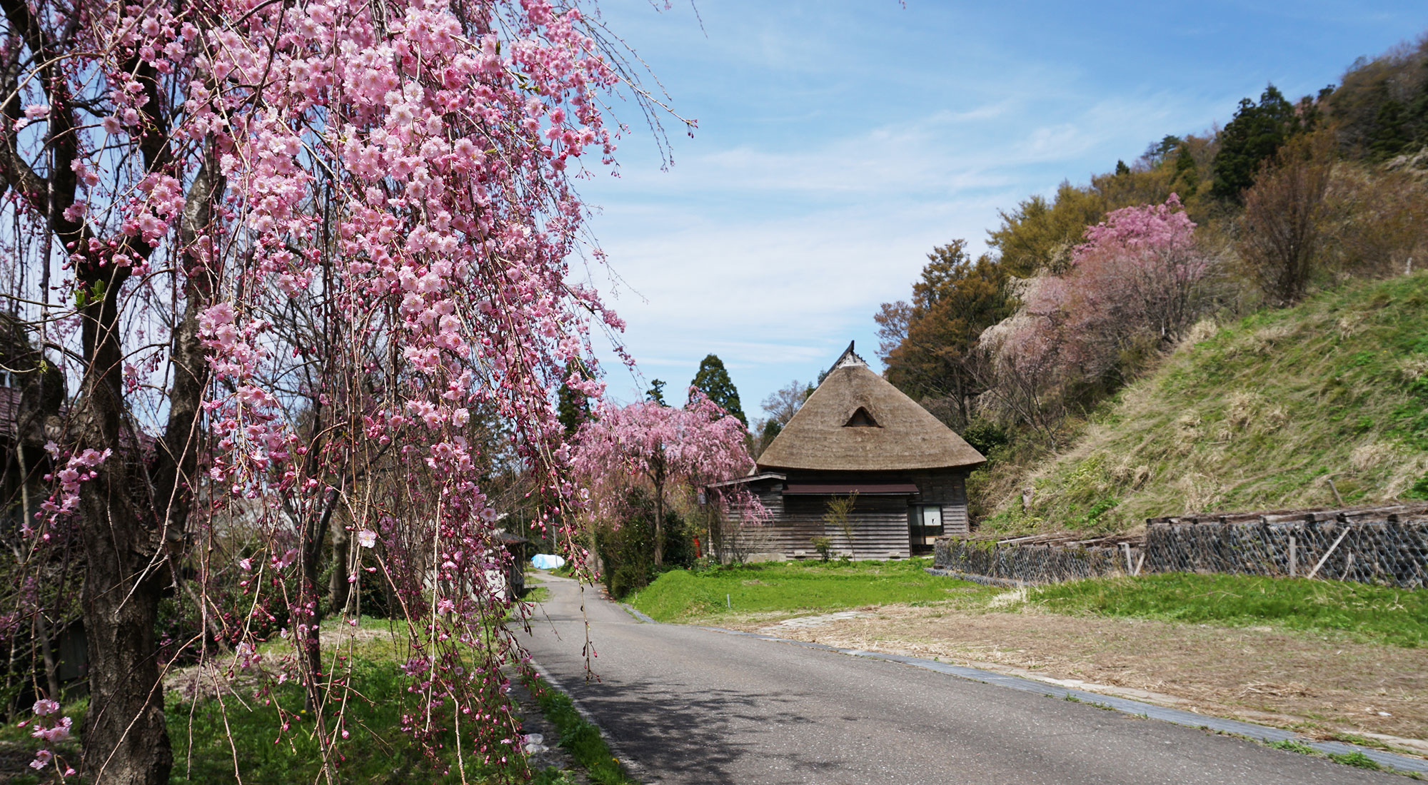 日本の原風景「枝垂れ桜の咲く里への回り道」