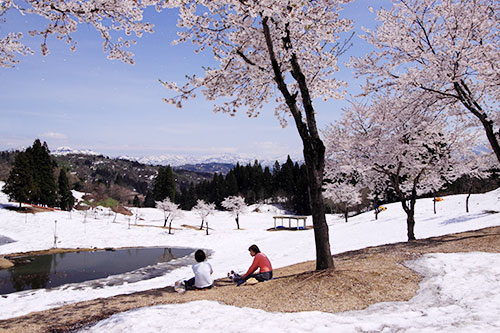 川口運動公園