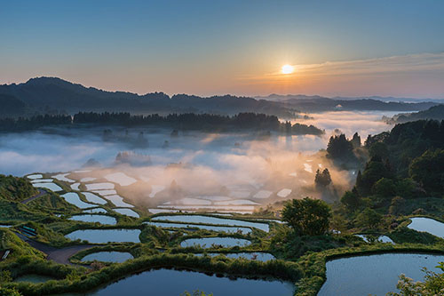 星峠の棚田