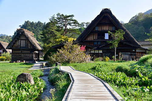 白川郷合掌造り集落