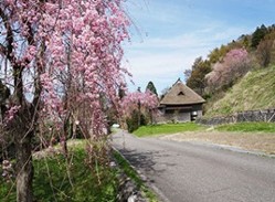 風景街道