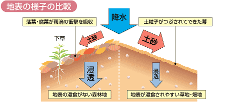 森林の土砂流出抑制機能イメージ