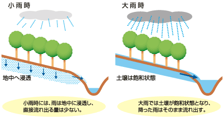 森林の有する洪水緩和機能には限界