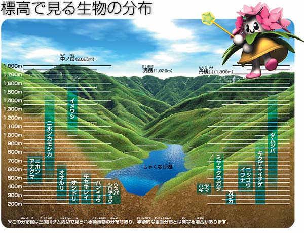 標高で見る生物の分布