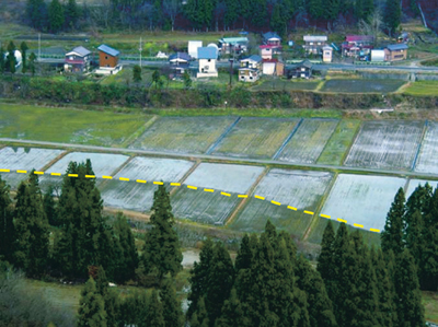 写真1-1-1　 広神村小平尾(おびろお)地区で確認された地震断層（（独）産業技術総合研究所提供）