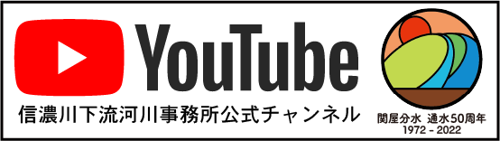 YouTube`l