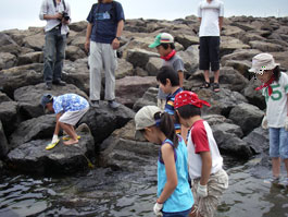付着生物を観察