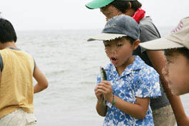 捕れた魚の観察