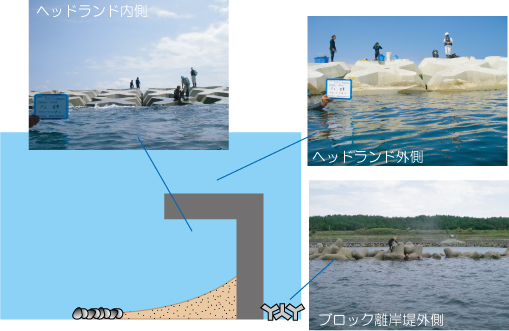 解説図