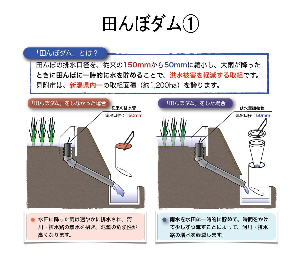 気質アップ】 水田用給排水口 水番 スマート 水口パイプ分水栓 田んぼ 排水口 吸水口 取水栓 水位調節 あぜ板 アゼ板 あぜガード 農業資材 