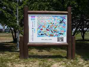 �W���\���S�i