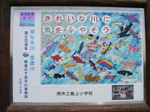 �W���\����