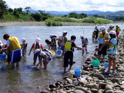 五十嵐川での生物採取の様子