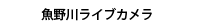 魚野川ライブカメラ