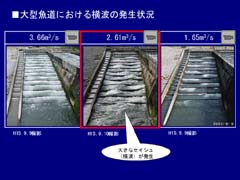 大型魚道における横波の発生状況