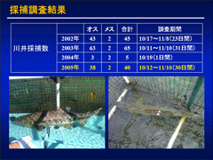 予測計算結果(十日町橋付近)