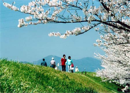 �ʐ^�u������̏t�v