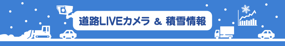 道路LIVEカメラ