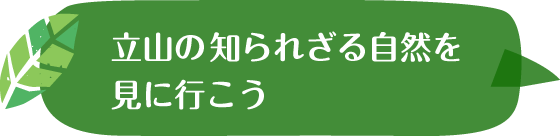 立山の知られざる自然を見に行こう