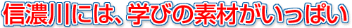 信濃川には学びの素材がいっぱい