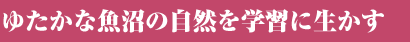 椿ʵ¤μؽ