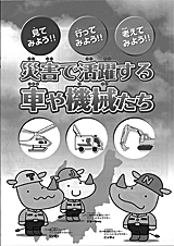 name="_x0000_i1046"