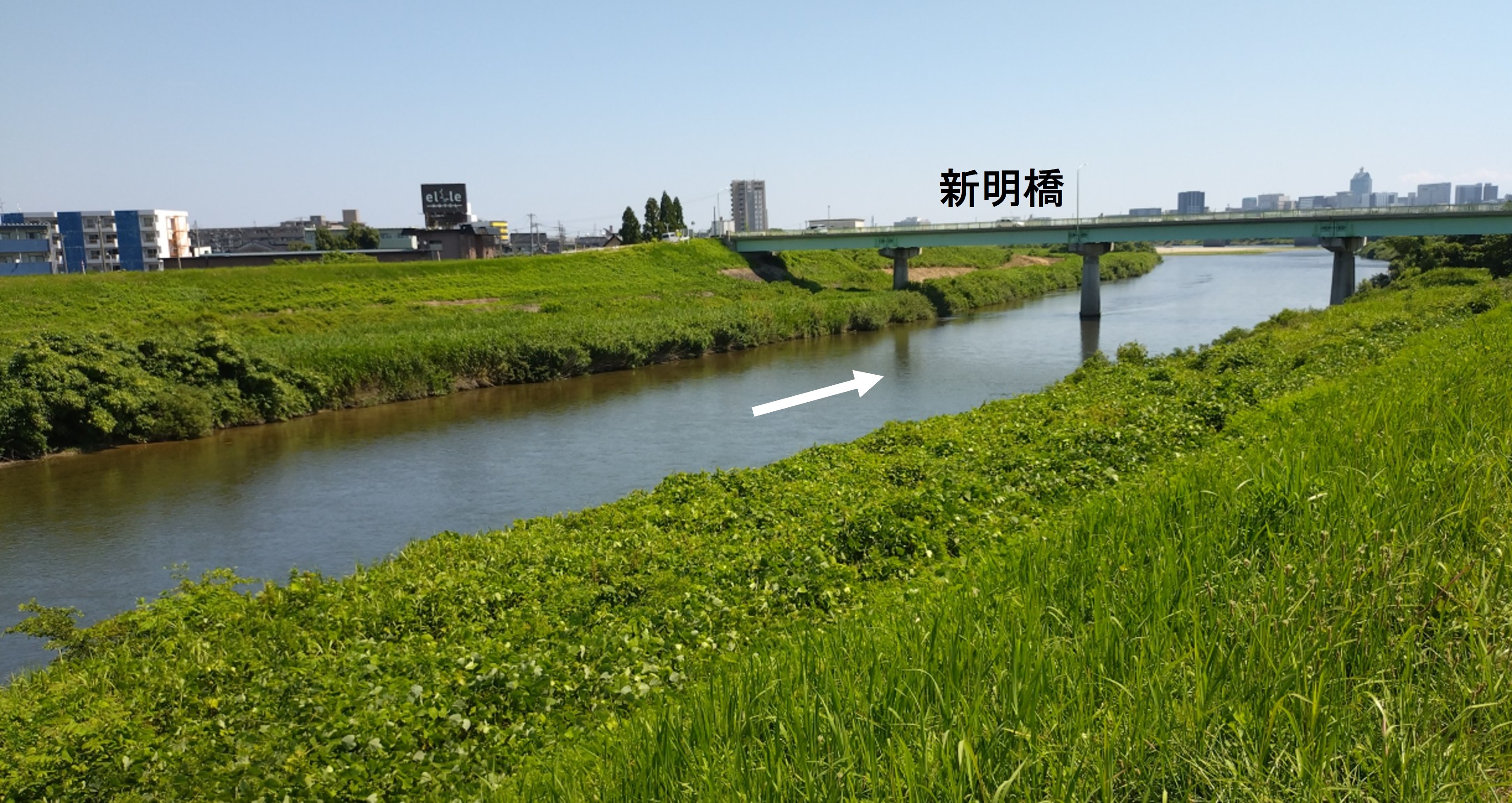 伐採後